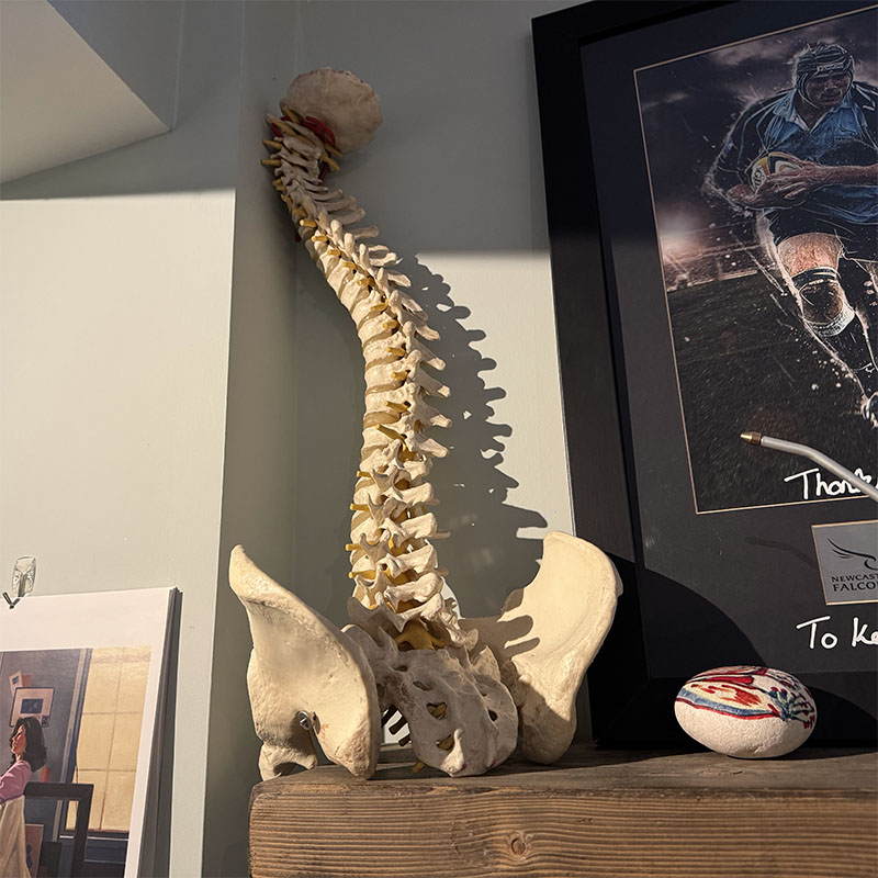 Chiropractic treatment room